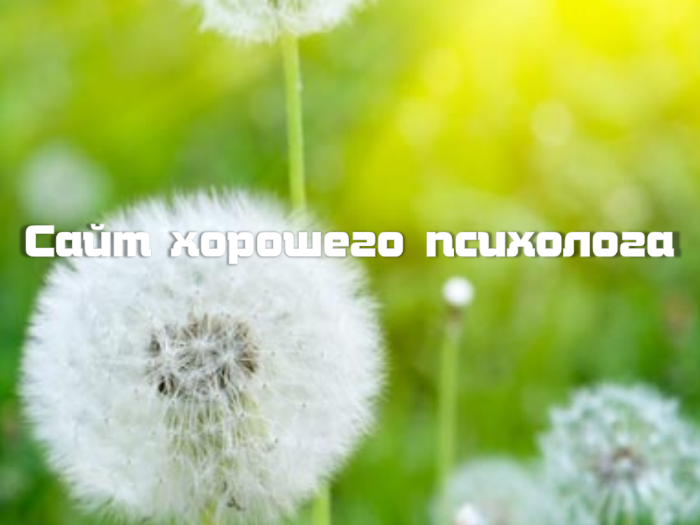 Сайт
